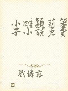 小雄颖莉笨蛋英子小说免费阅读全文封面