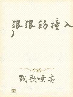 狠狠的撞入(h)