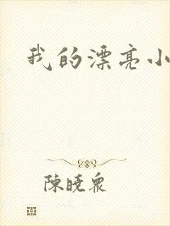 我的漂亮小后妈