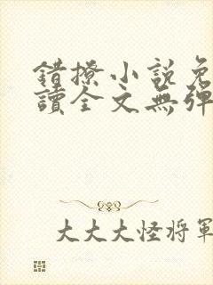 错撩小说免费阅读全文无弹窗封面