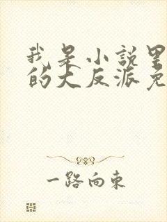 我是小说里共同的大反派免费全文阅读封面