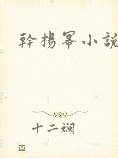 干杨幂小说