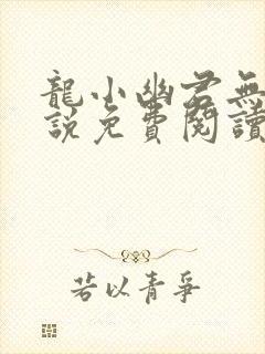 龙小幽君无邪小说免费阅读封面