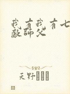 我有我有七个无敌师父封面