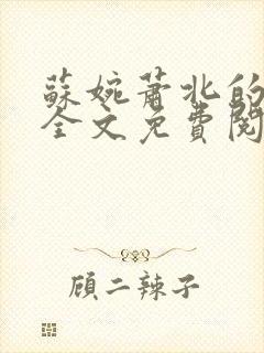 苏婉萧北的小说全文免费阅读封面