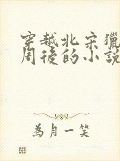 穿越北宋猎艳小周后的小说封面
