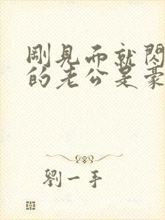刚见面就闪婚我的老公是豪门小说