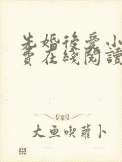先婚后爱小说免费在线阅读