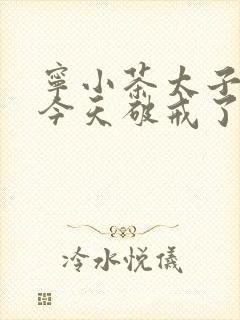 宁小茶太子殿下今天破戒了吗免费阅读