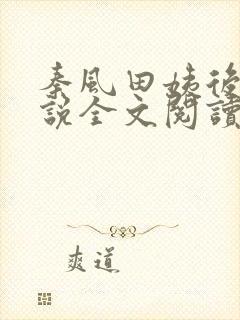 秦风田姨后妈小说全文阅读无弹窗封面