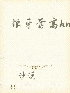 狼牙套高hnp