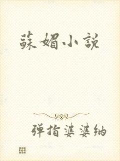苏媚小说
