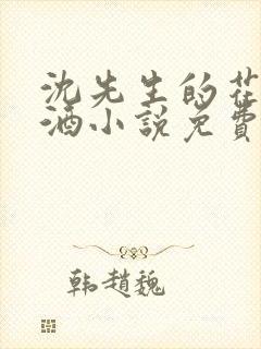 沈先生的花式调酒小说免费阅读封面