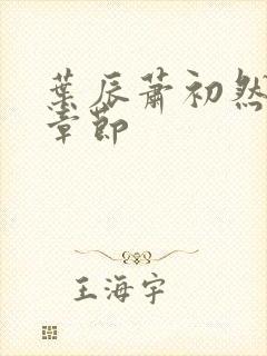 叶辰萧初然最快章节