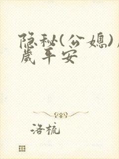书籍封面