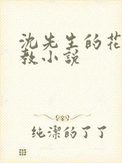 沈先生的花式管教小说