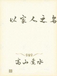 以家人之名小说