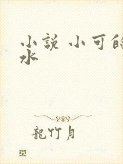 小说 小可的奶水