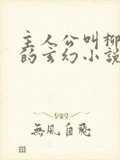 主人公叫柳无邪的玄幻小说封面