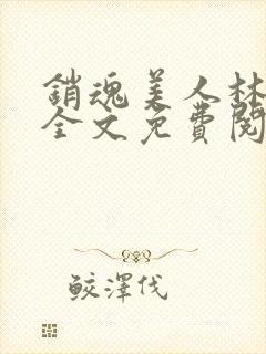 销魂美人林婷婉全文免费阅读小说