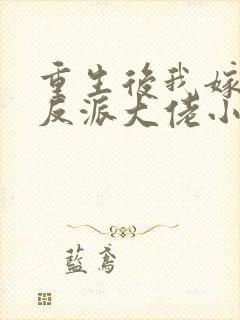 重生后我嫁给了反派大佬小说