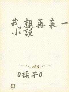 我想再来一次 小说