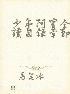 少年阿宾全文阅读目录章节小说