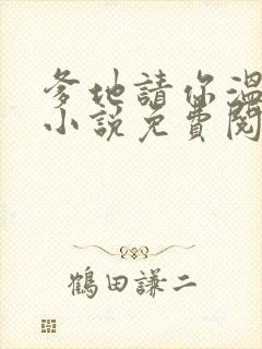 爹地请你温柔点小说免费阅读封面