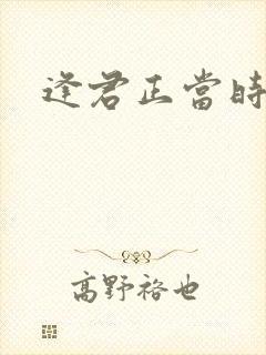 逢君正当时封面