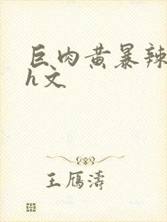 巨肉黄暴辣文高h文