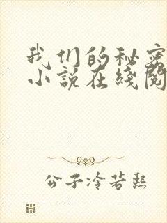 我们的秘密原著小说在线阅读封面