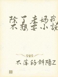 除了老妈我谁也不想要小说免费阅读封面