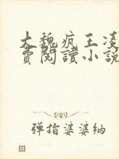 大魏疯王凌宁免费阅读小说