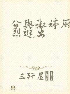 公与淑婷厨房猛烈进出