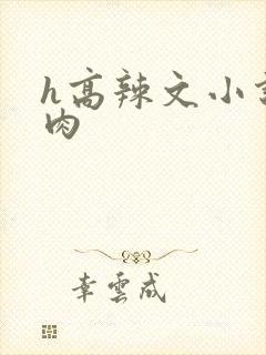 h高辣文小说肉肉