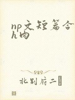 np文短篇合集h肉封面