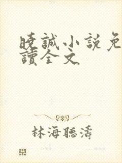 晓诚小说免费阅读全文