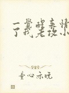 一觉醒来情敌成了我老攻小说免费阅读