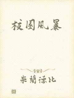 校园风暴封面