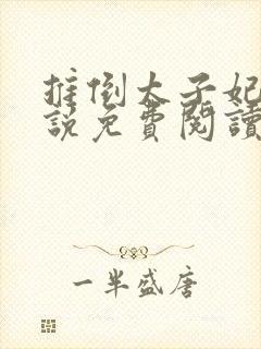 推倒太子妃的小说免费阅读无弹窗