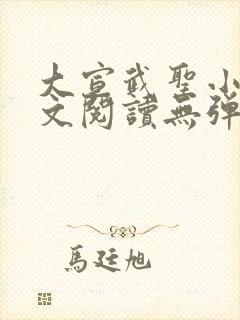 大宣武圣小说全文阅读无弹窗