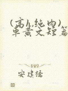(高h,纯肉)车黄文短篇合集双飞