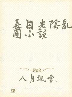 长日光阴乱作一团小说