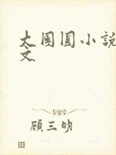 大团圆小说集全文封面