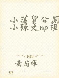 小荡货公厕h文小辣文np视频