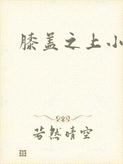 膝盖之上小说