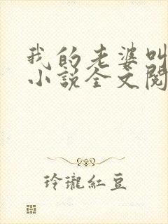 我的老婆叫武艳小说全文阅读封面