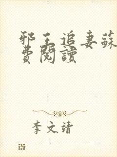 邪王追妻苏落免费阅读封面