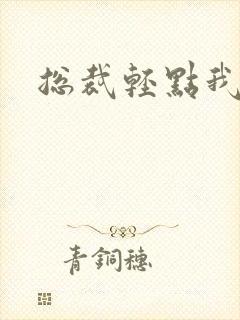 总裁轻点我怕疼