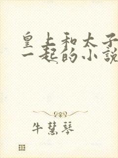 皇上和太子妃在一起的小说